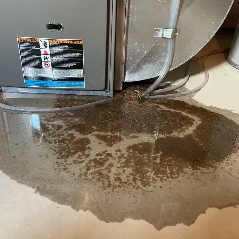 Appliance Leak Cleanup in Loxahatchee Groves, FL